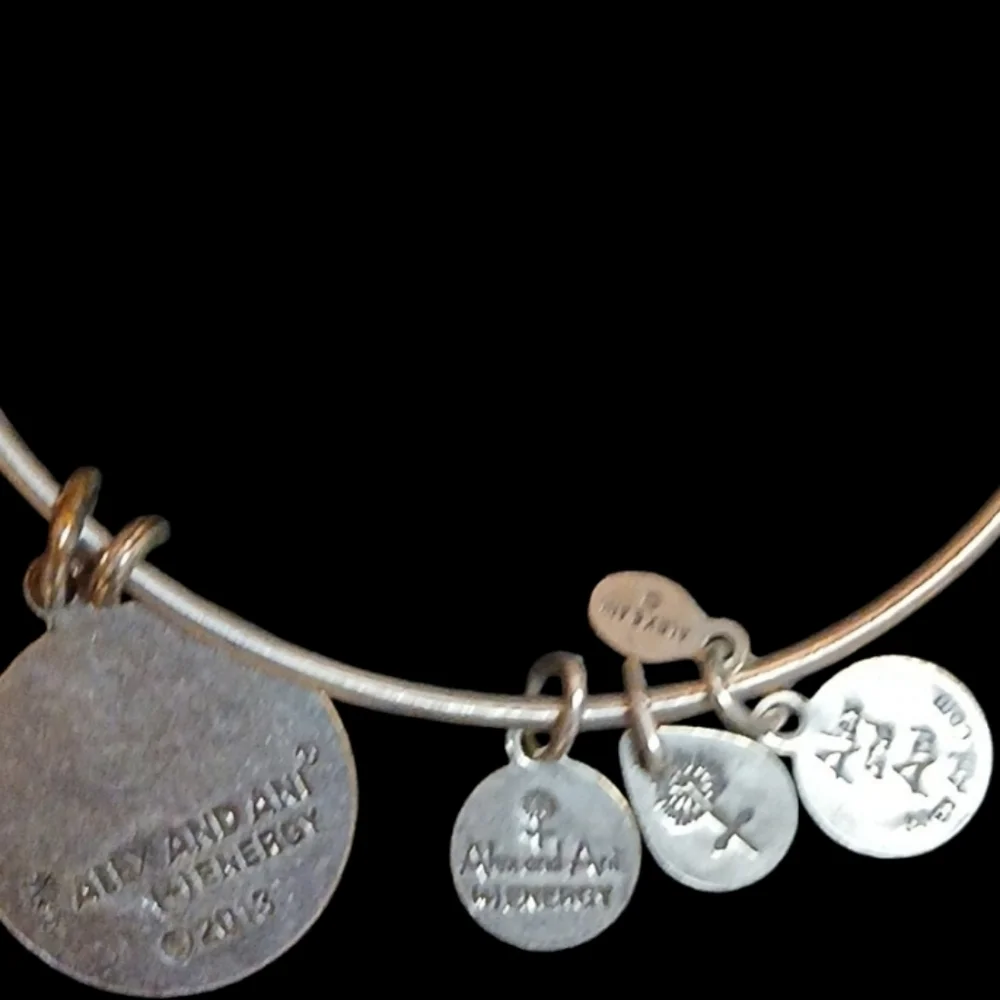 Alex and Ani - Silver Tone Wire Energy Infused Friend Charm Bracelet, Date 2013 - Picture 5 of 10